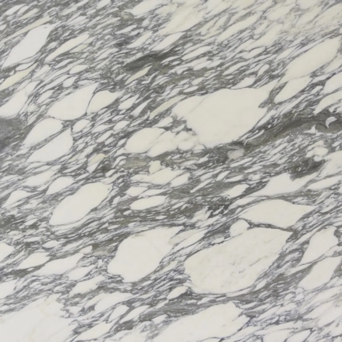 Arabescato marble slab in the Stoneworks Singapore marble range
