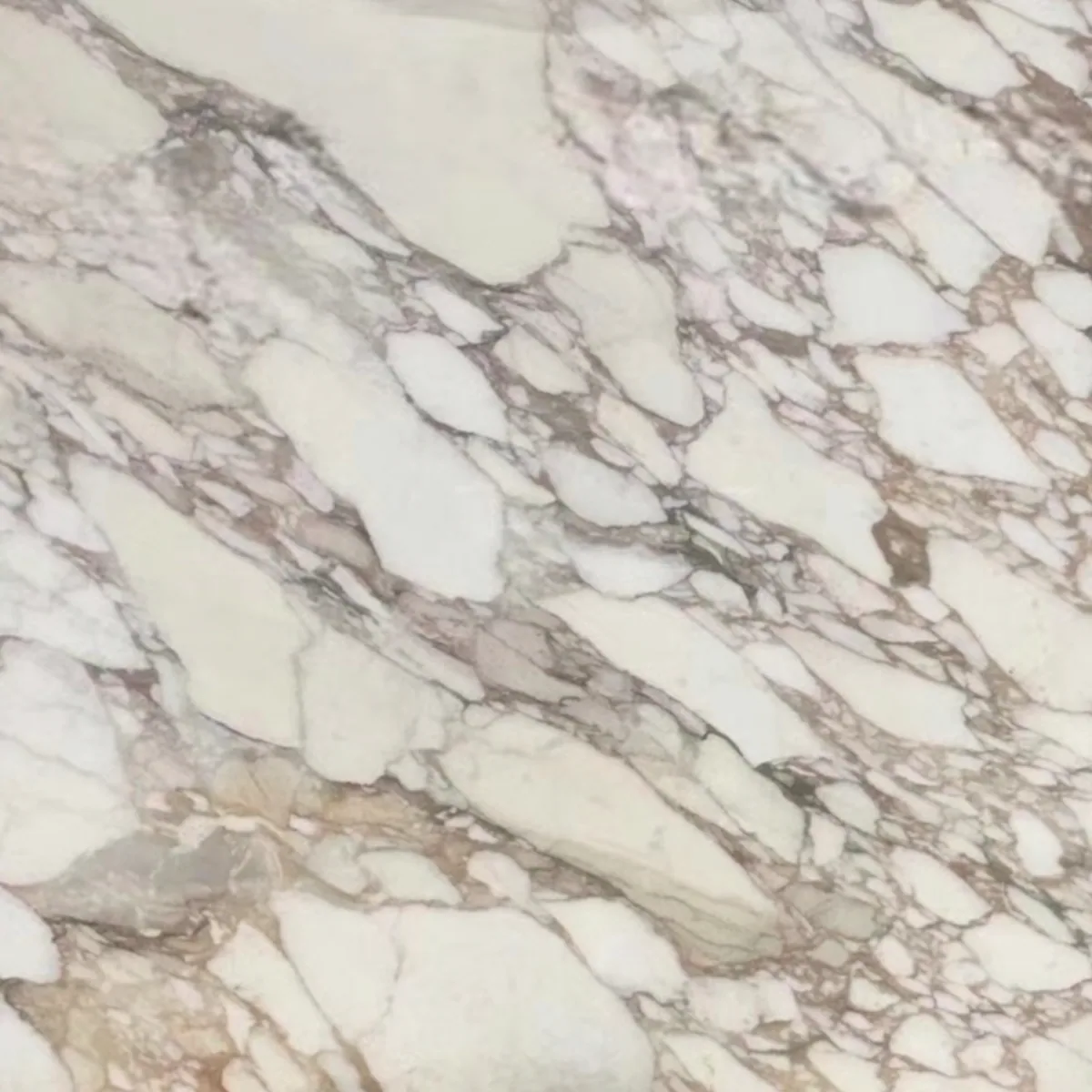 Arabescato Oro marble slab in the Stoneworks Singapore marble range