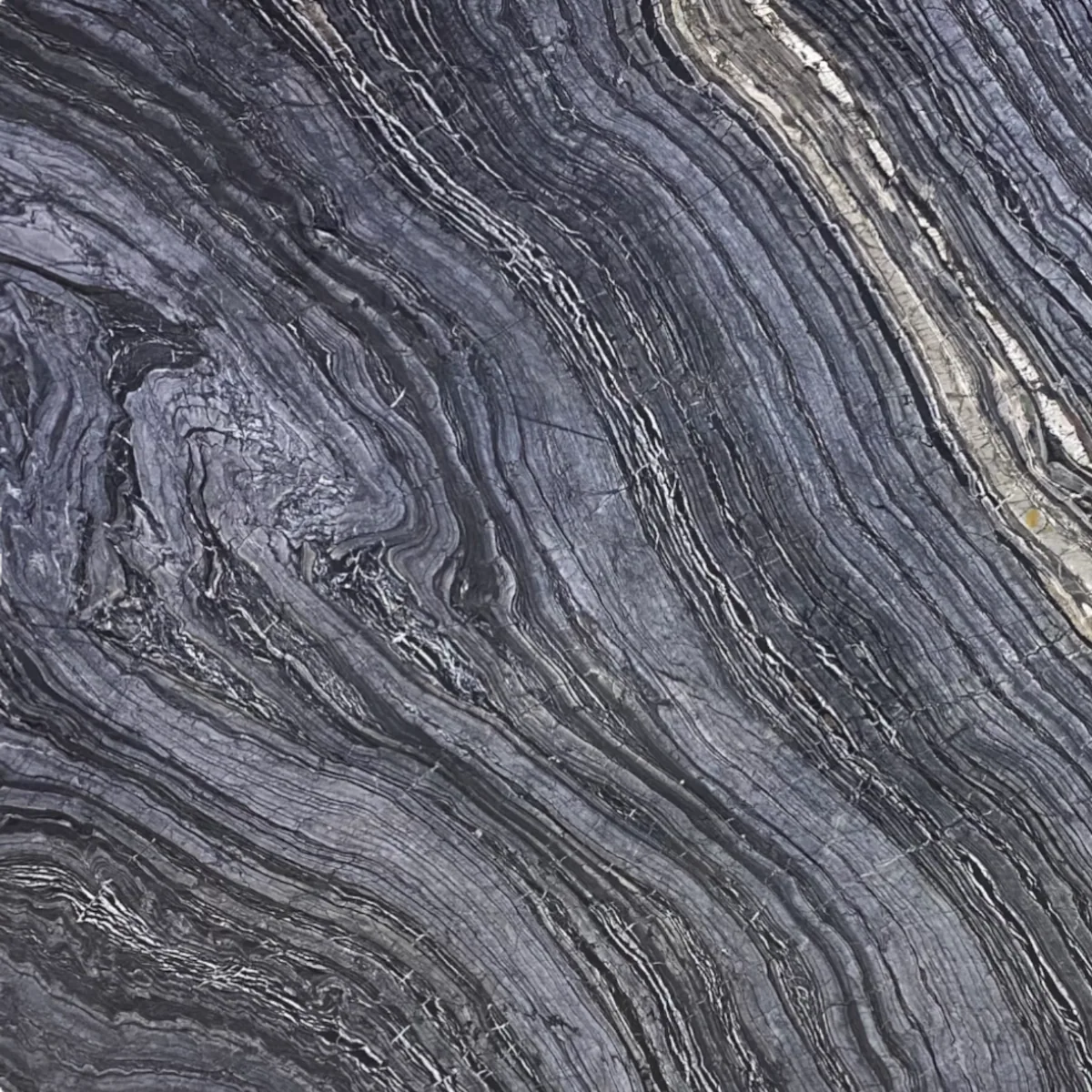Black Forest (Variant 2) marble slab in the Stoneworks Singapore marble range