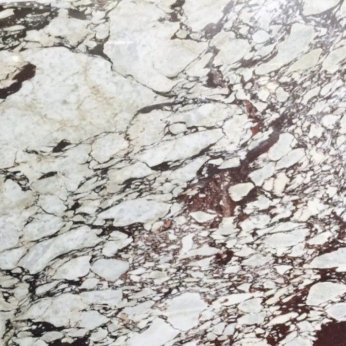 Calacatta Viola marble slab in the Stoneworks Singapore marble range