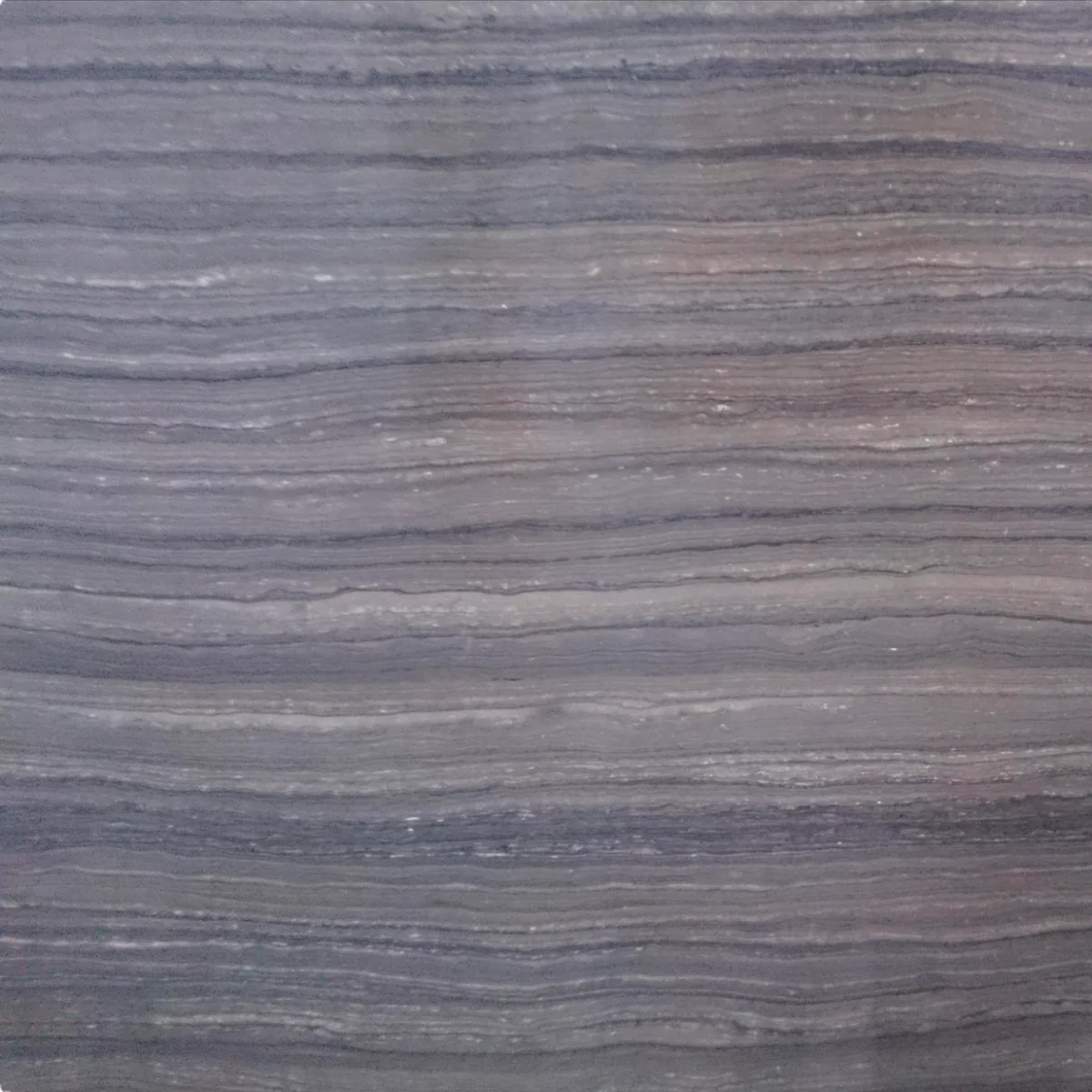 Eramosa marble slab in the Stoneworks Singapore marble range