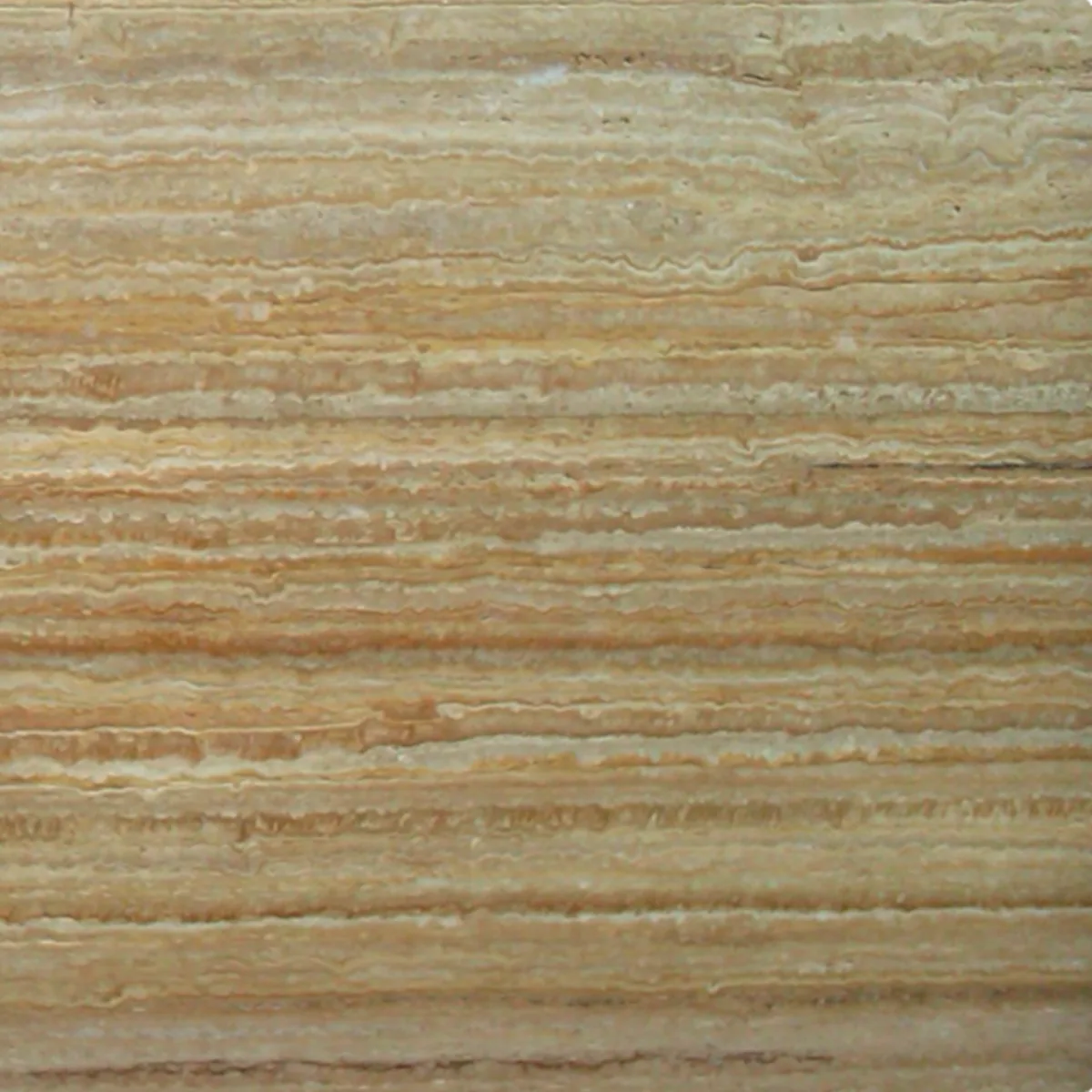 Golen Senia Travertine travertine slab in the Stoneworks Singapore travertine range