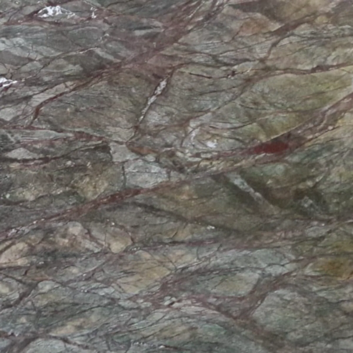 Green Forest marble slab in the Stoneworks Singapore marble range