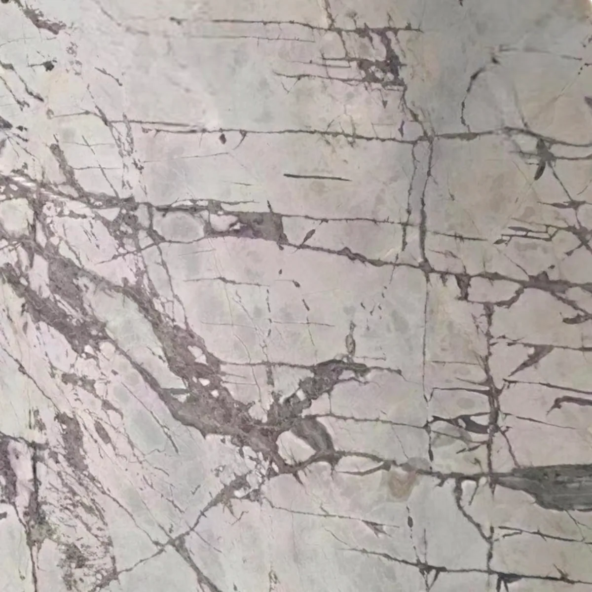 Invicible Grey marble slab in the Stoneworks Singapore marble range