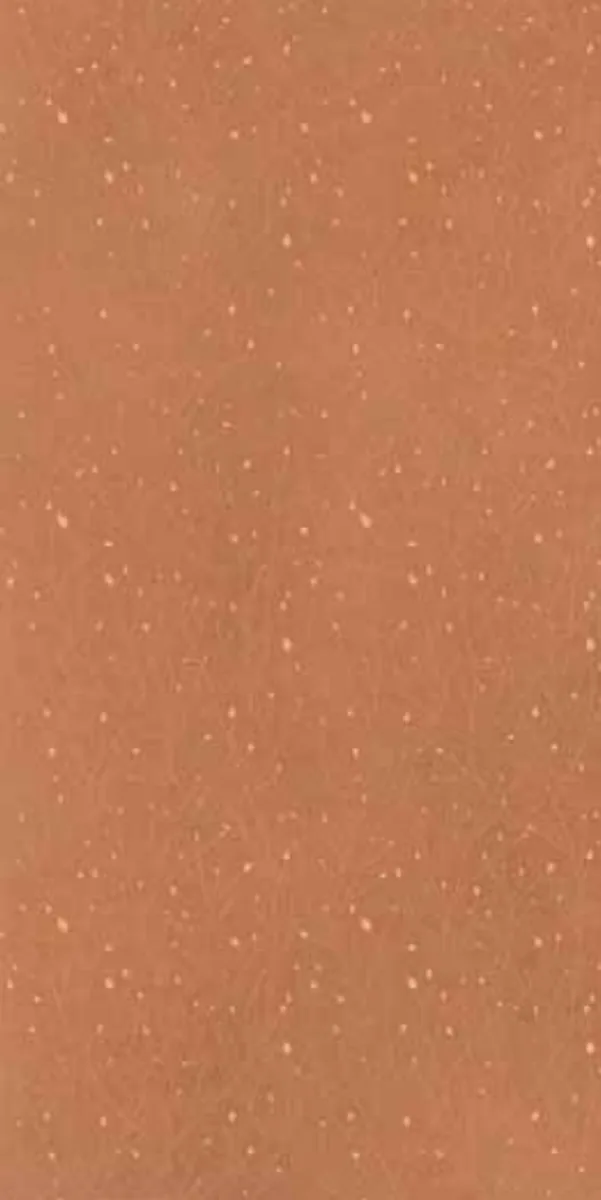 Outback (Variant 3) tile in the Stoneworks Singapore tile range