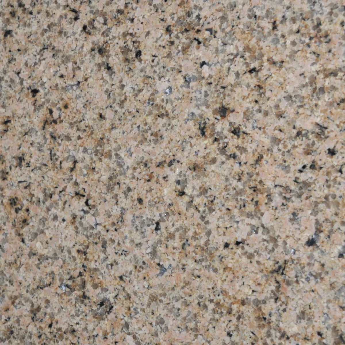 Park Gold granite slab in the Stoneworks Singapore granite range