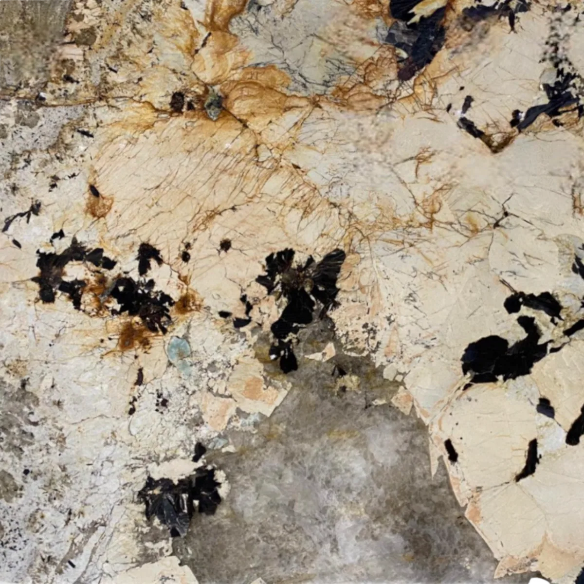 Patagonia marble slab in the Stoneworks Singapore marble range