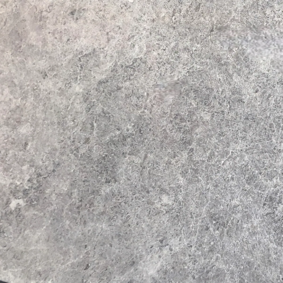 Perlado Grigio marble slab in the Stoneworks Singapore marble range