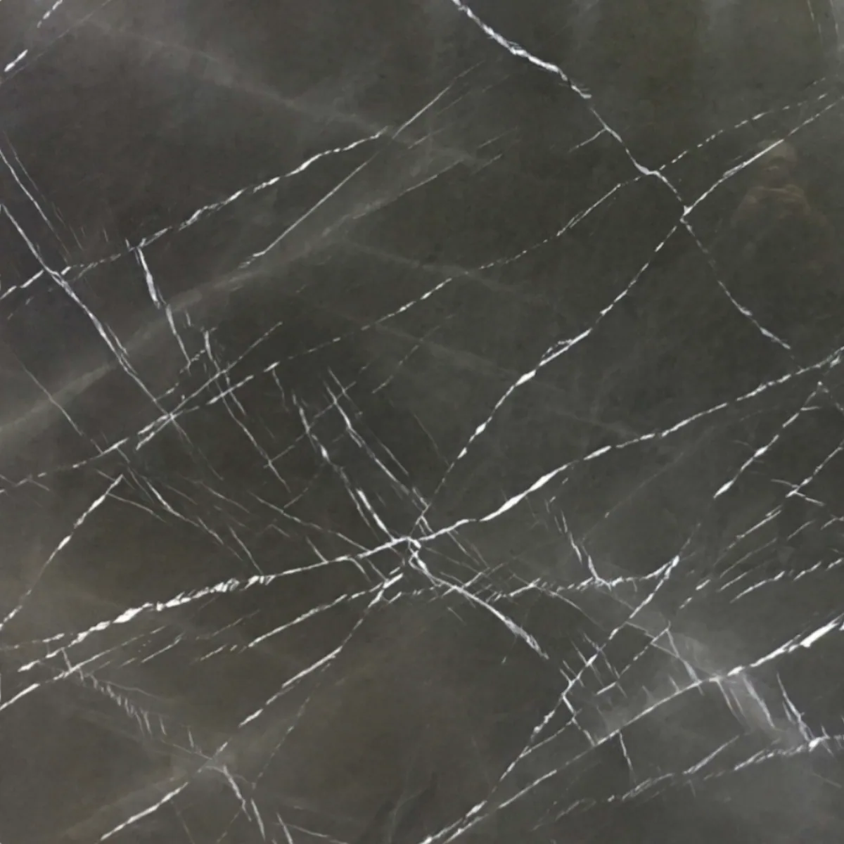 Pietra Grey marble slab in the Stoneworks Singapore marble range