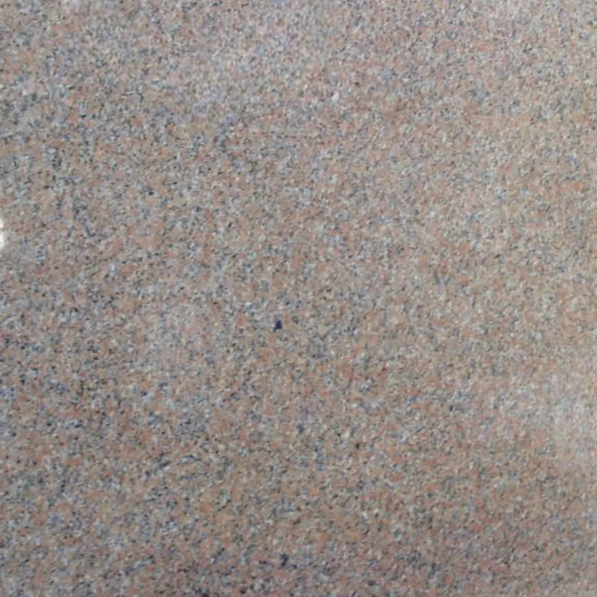 Pink Porrino granite slab in the Stoneworks Singapore granite range