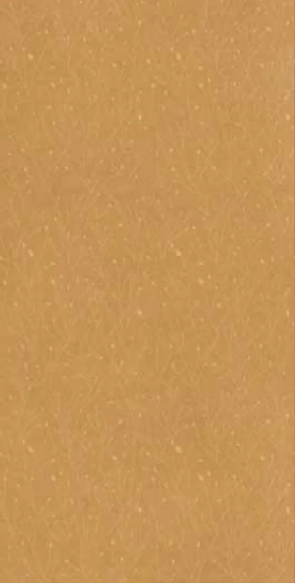 Savannah (Variant 3) tile in the Stoneworks Singapore tile range
